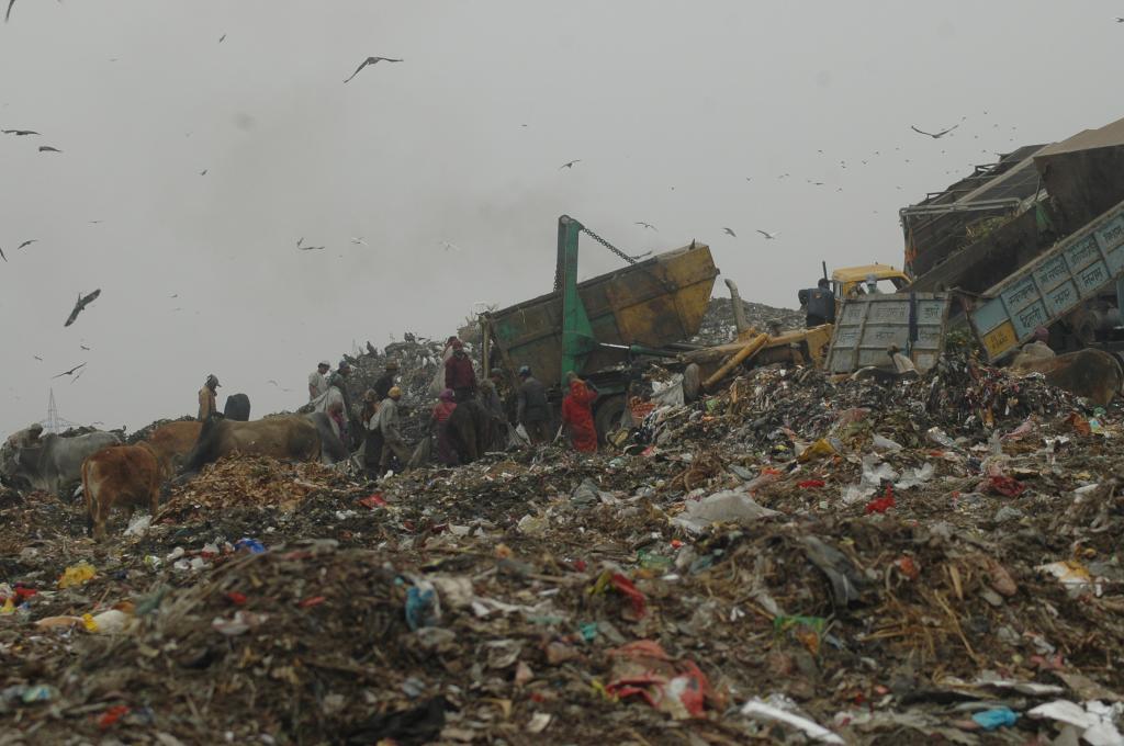 waste management in india