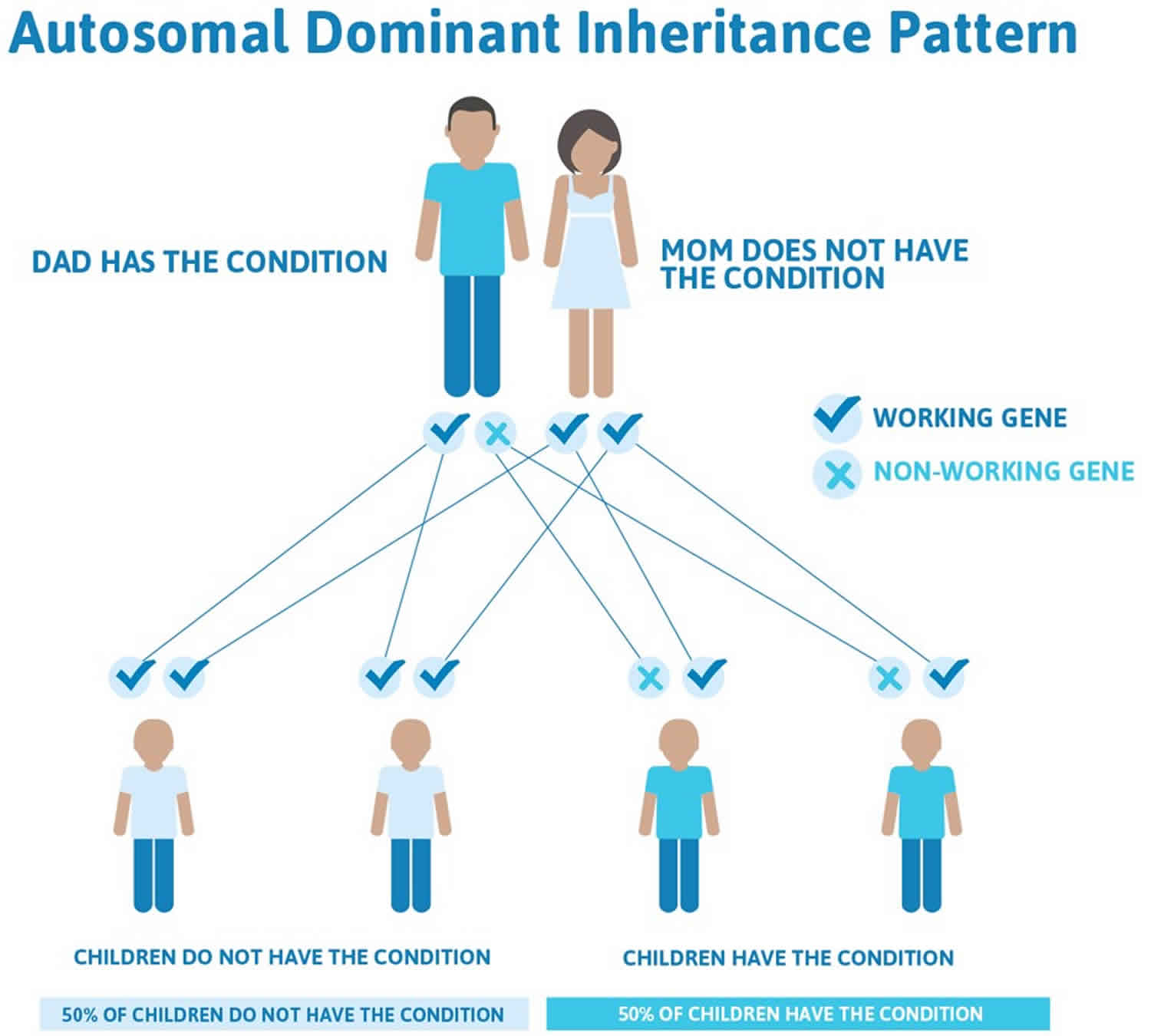 Tatton-Brown-Rahman-syndrome-autosomal-dominant-inheritance-pattern
