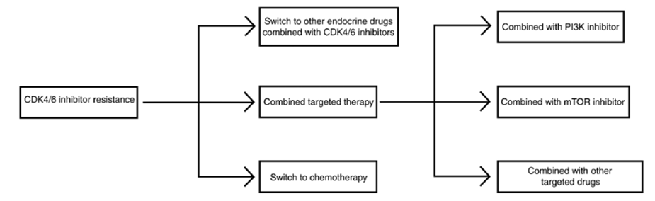 A diagram of a patient's medication

Description automatically generated