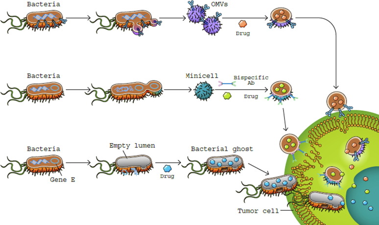 A diagram of a cellDescription automatically generated