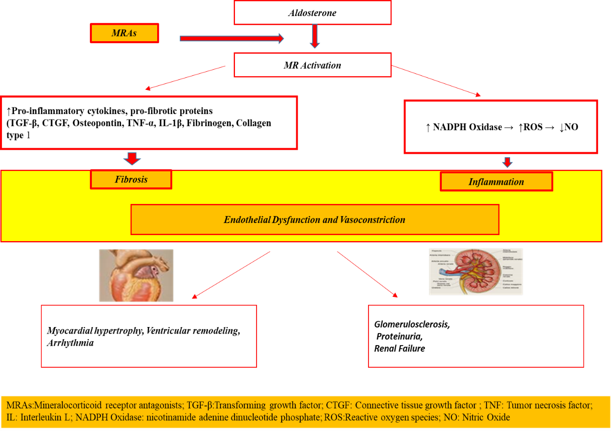 A screenshot of a computer screen  AI-generated content may be incorrect.