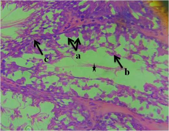 A close-up of a microscopeDescription automatically generated