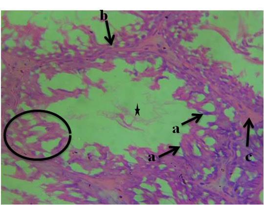A close-up of a microscopeDescription automatically generated