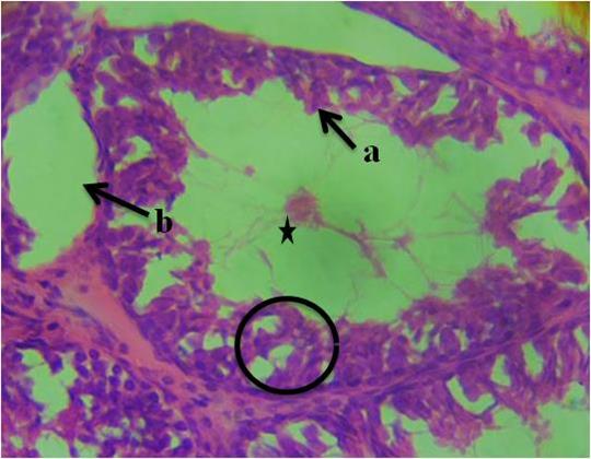 A close-up of a microscopeDescription automatically generated