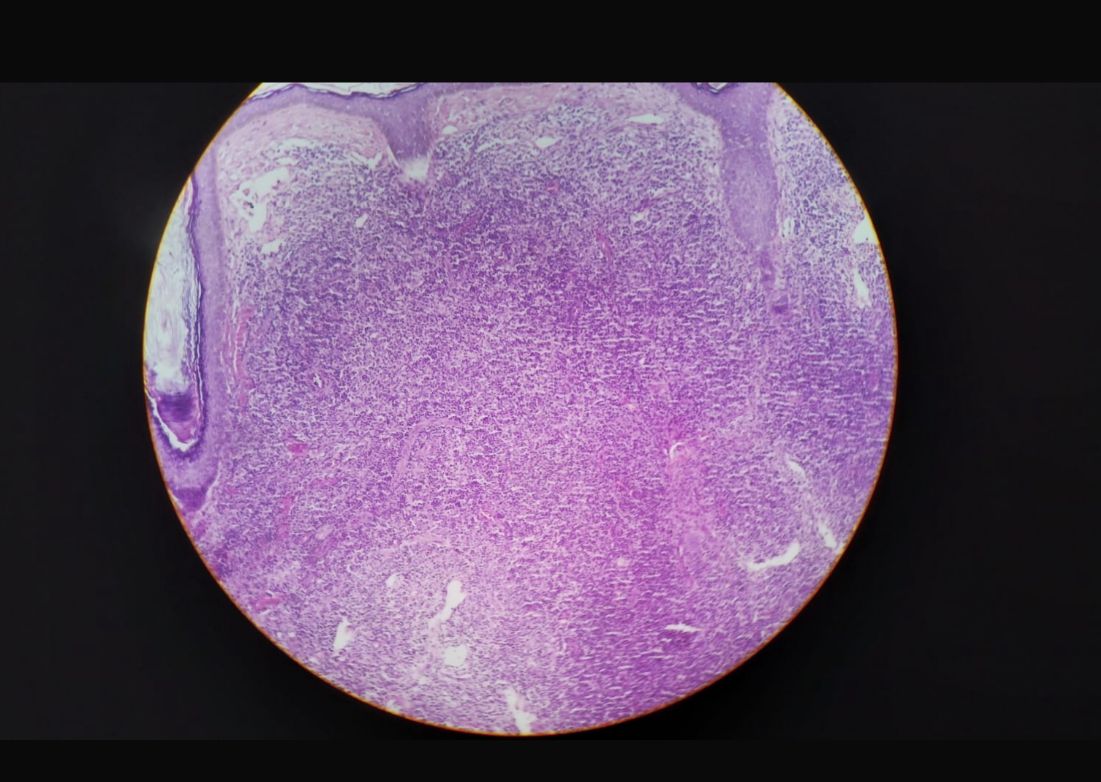 A close-up of a purple and white circle

AI-generated content may be incorrect.