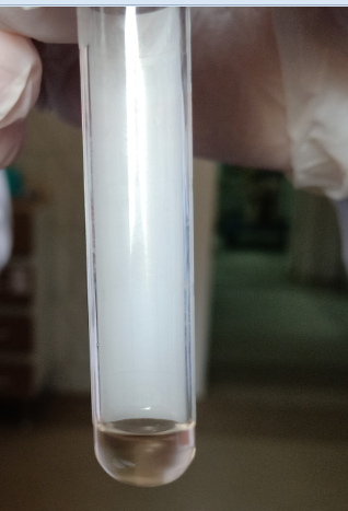 A close-up of a test tube
AI-generated content may be incorrect.